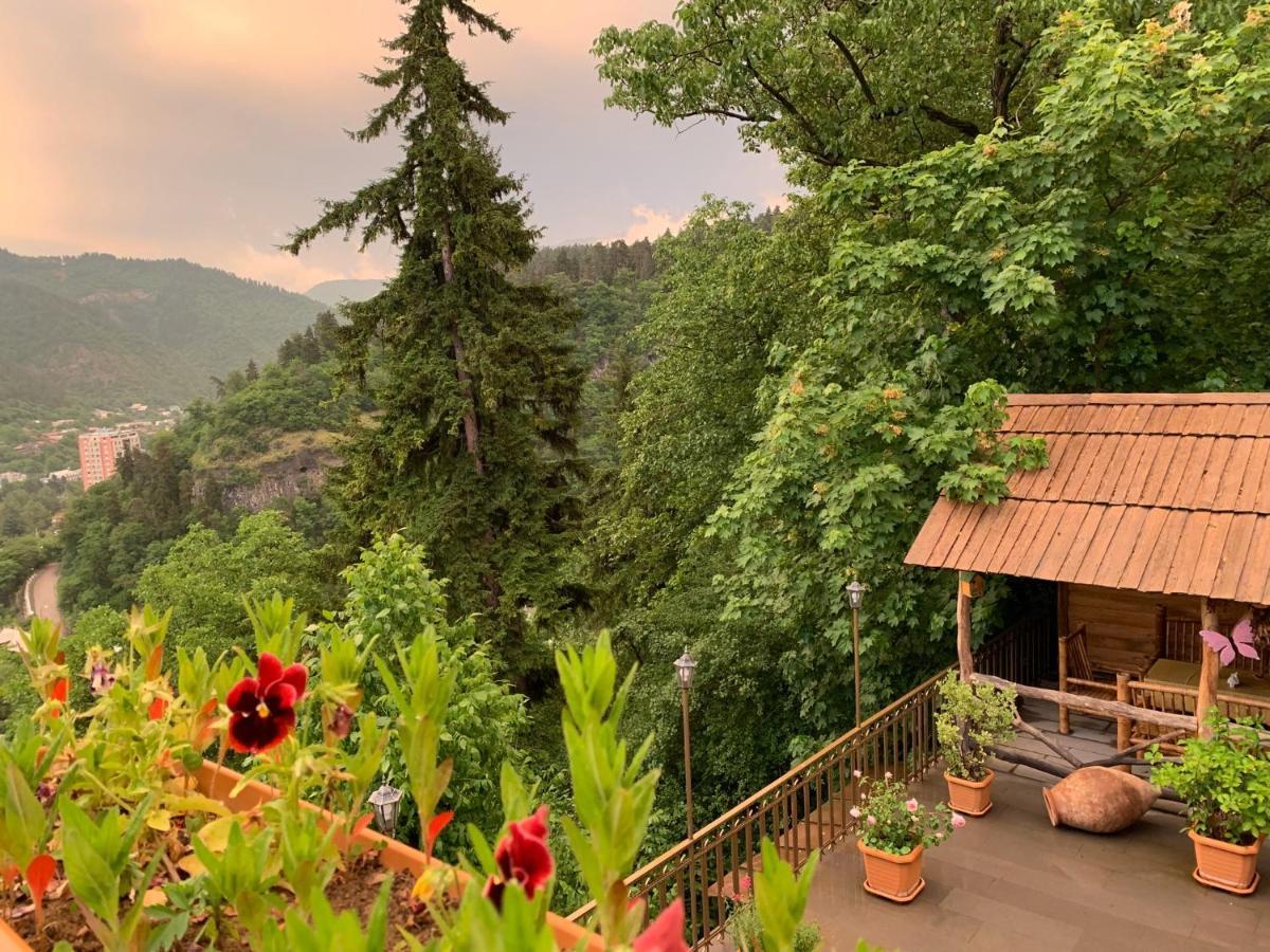 Anano'S Guesthouse Borjomi Exterior photo