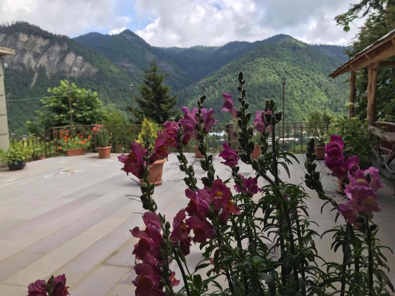 Anano'S Guesthouse Borjomi Exterior photo